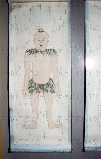 Chinese Acupuncture Chart, Front View. Artist: Unknown.