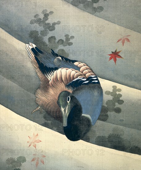 'Duck Swimming in Water', 1847. Artist: Hokusai