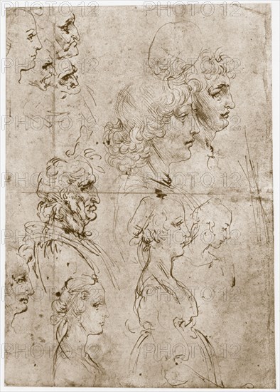 'Heads of Girls, Young and Old Men', 1478-1480. Artist: Leonardo da Vinci