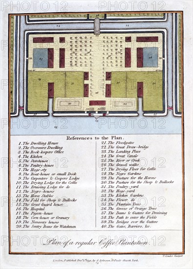 'Plan of a Regular Coffee Plantation', 1813. Artist: John Gabriel Stedman