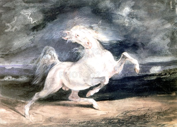 'White Horse', 19th century. Artist: Eugène Delacroix