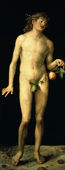 'Adam', 1507. Artist: Albrecht Dürer