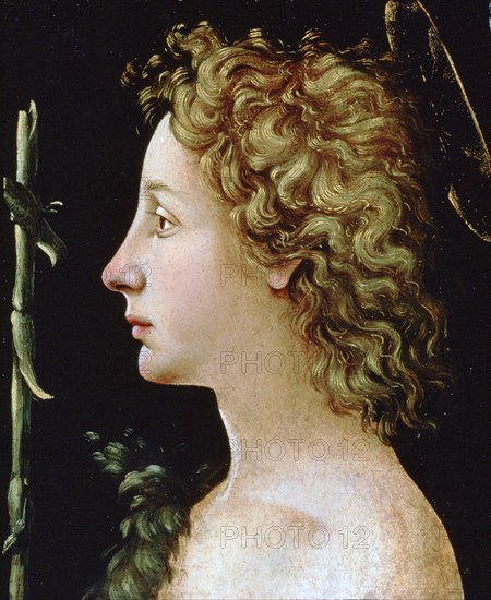 'The Young Saint John the Baptist', c1482-1522. Artist: Piero di Cosimo