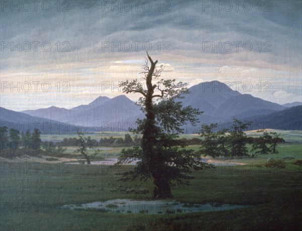 'The Solitary Tree', 1823. Artist: Caspar David Friedrich.