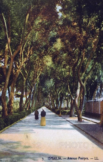 'Avenue Poirpre, Ismailia, Egypt', c1900. Artist: Unknown