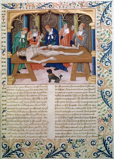 Dissection, late 15th century. Artist: Unknown