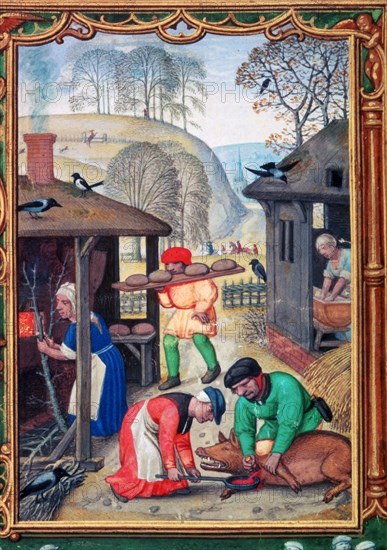 December, slaughtering the pig, 1520. Artist: Gerhard Hoornbach