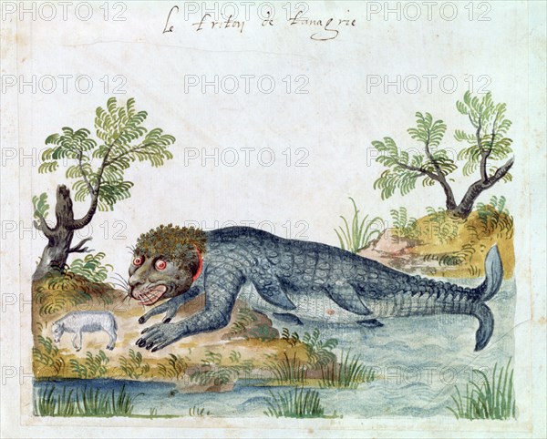 Triton, 16th century. Artist: Unknown