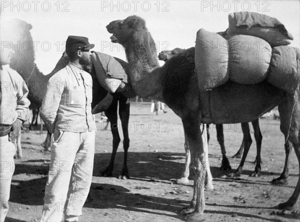 The French Foreign Legion on manoeuvres, Boudenib, Morocco, 1911. Artist: Unknown