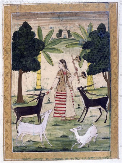Todi Ragini, Ragamala Album, School of Rajasthan, 19th century. Artist: Unknown