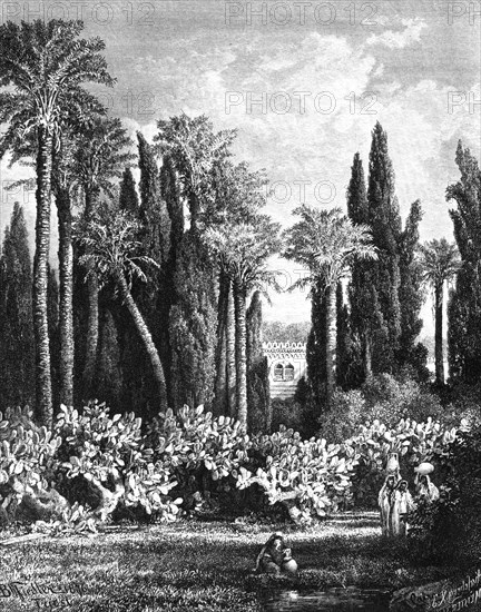 'Princely Garden in Cairo, Egypt', 1880. Artist: Unknown
