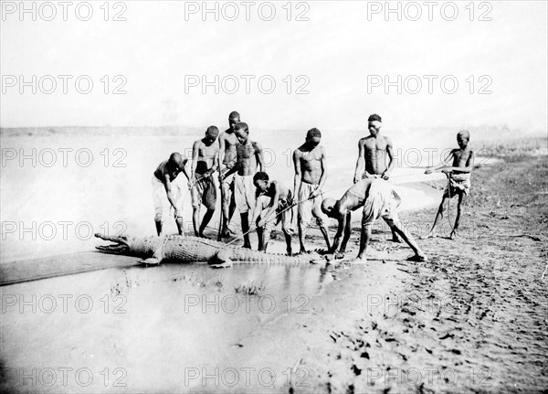 Hunting a crocodile, Nubia, Egypt, 1887. Artist: Henri Bechard