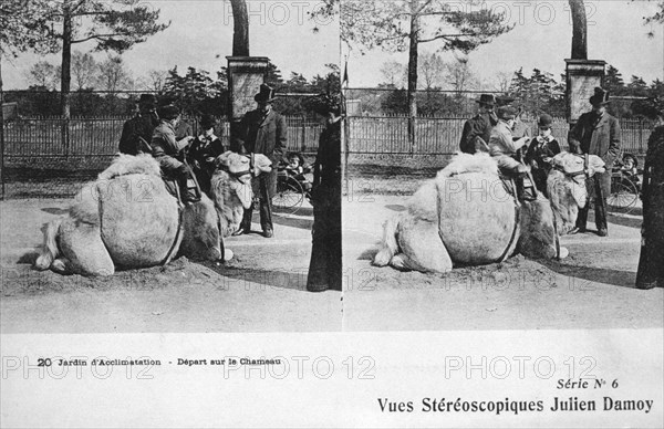 Camel ride, zoological gardens, c1900. Artist: Julien Damoy