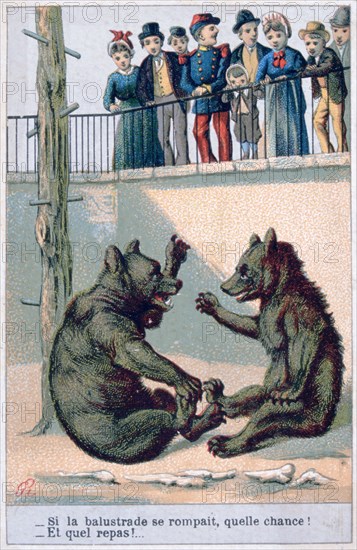 French zoological postcard, 19th century. Artist: Unknown