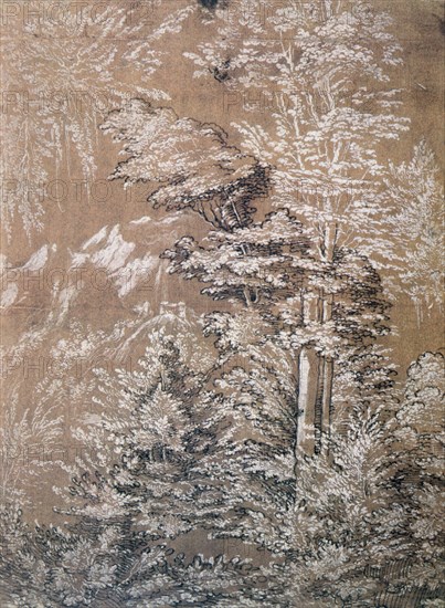 'Tree Study', 1519 Artist: Wolf Huber