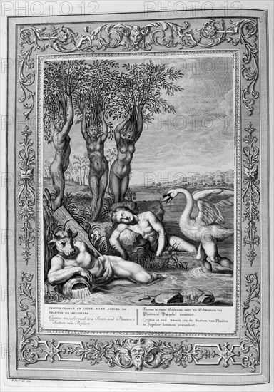 Cygnus transformed into a swan and Phaeton's sisters into poplars, 1733. Artist: Bernard Picart