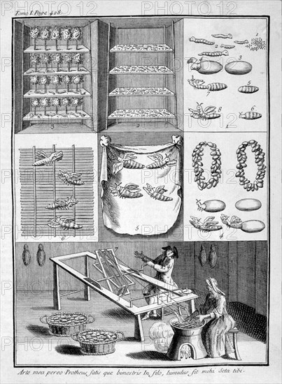 The breeding of silk worms, 1775. Artist: Unknown