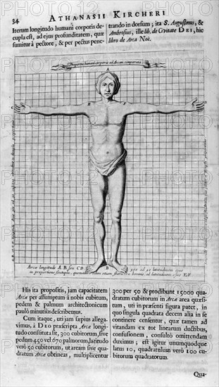 Proportions of man, 1675. Artist: Athanasius Kircher