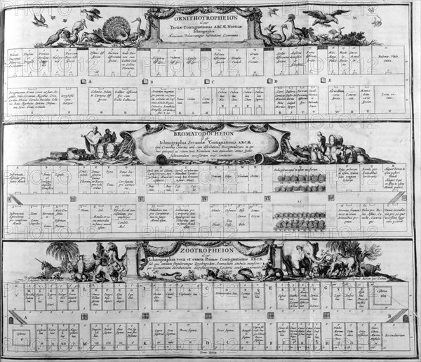 Table of the species, 1765.  Artist: Athanasius Kircher