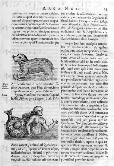 Mythical creatures, 1675.  Artist: Athanasius Kircher