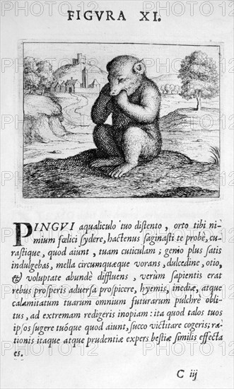 Prophecy figure XI from Prognosticatio Eximii Doctoris Paracelsi, 1536.  Artist: Theophrastus Bombastus von Hohenheim Paracelsus