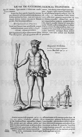 Antediluvian giants, 1678.  Artist: Athanasius Kircher