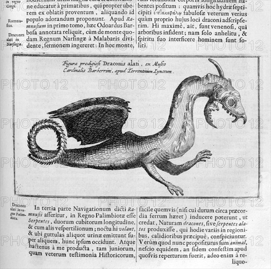 Dragon, 1678. Artist: Athanasius Kircher