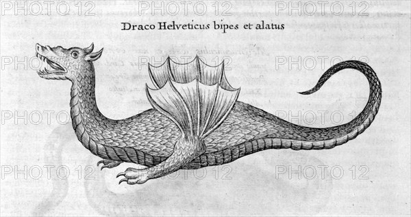 Dragon, 1678. Artist: Athanasius Kircher