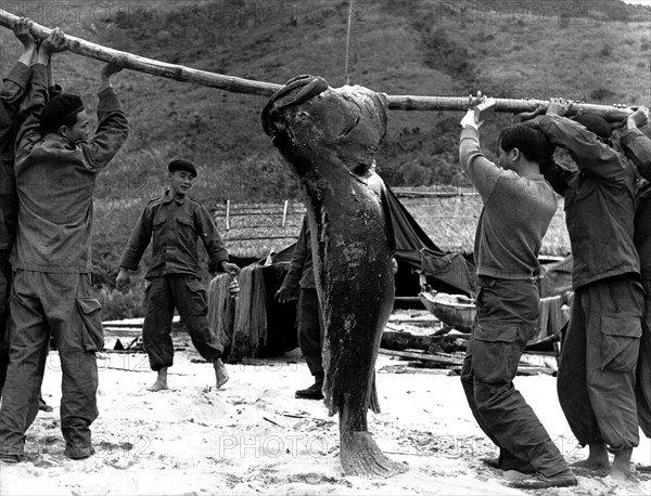 French commandos on the beach, Thanh Hoa, Vietnam, 1953. Artist: Peraud