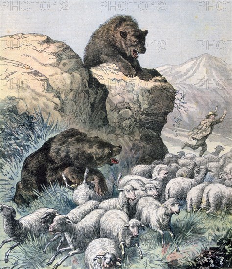 Bears of the Cagyre, 1891.  Artist: F Meaulle