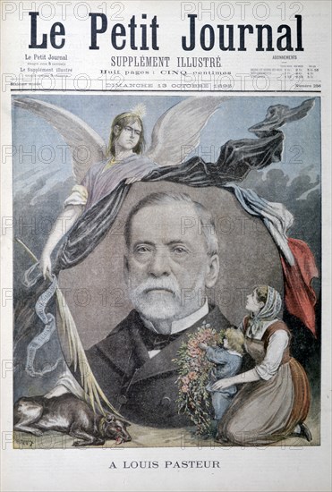 Louis Pasteur, French chemist, 1895. Artist: Unknown