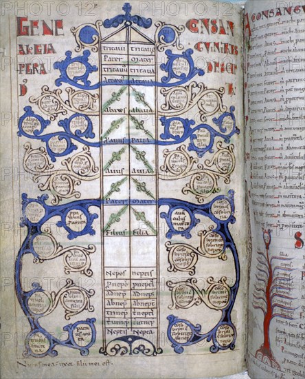 Table of the degrees of Consanguinity, a page from Liber Floridus, 12th century. Artist: Unknown