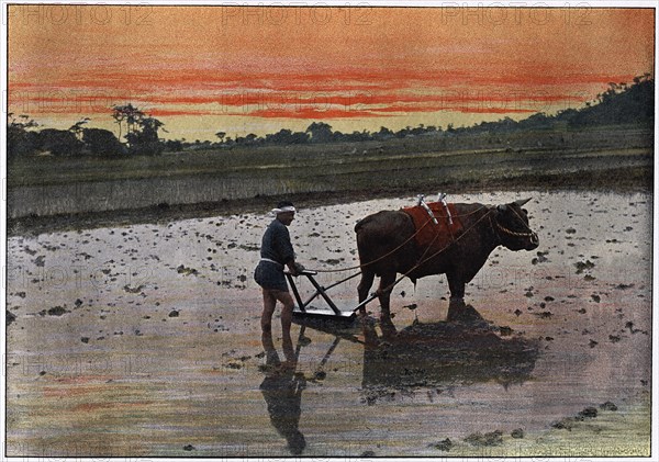 'Preparation of a Rice Plantation in Japan', c1890. Artist: Charles Gillot