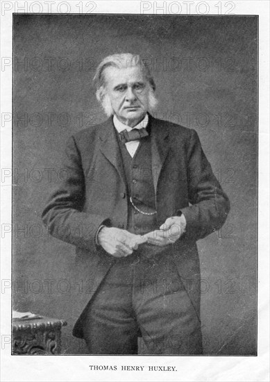 Thomas Henry Huxley, British biologist, c1870s. Artist: Unknown