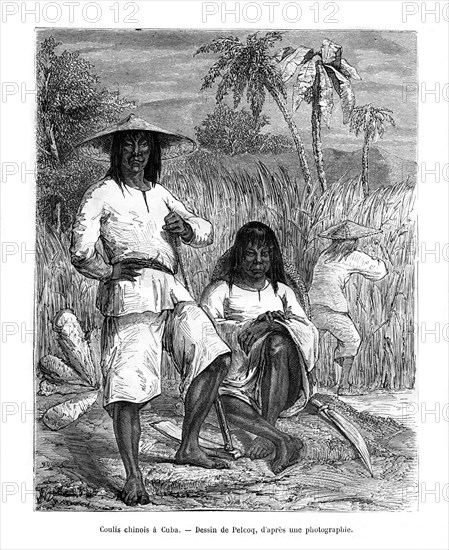 Chinese workers, Cuba, 19th century. Creator: Jules Pelcoq.