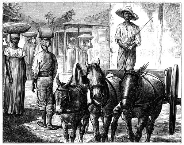 Street scene, Haiti, 19th century. Artist: T Wust