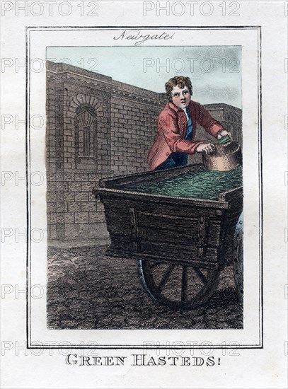 'Green Hasteds', Newgate, London, 1805. Artist: Unknown