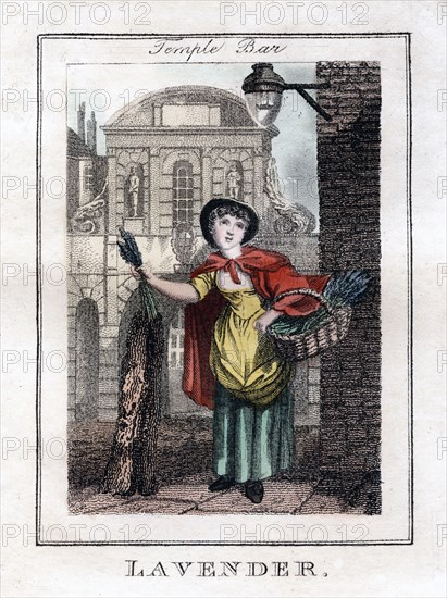 'Lavender', Temple Bar, London, 1805. Artist: Unknown