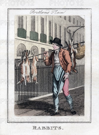 'Rabbits', Portland Place, London, 1805. Artist: Unknown