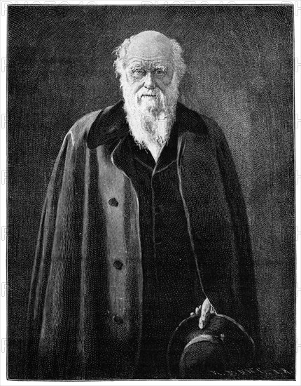 Charles Darwin, renowned naturalist and thinker, (1900) Artist: Unknown