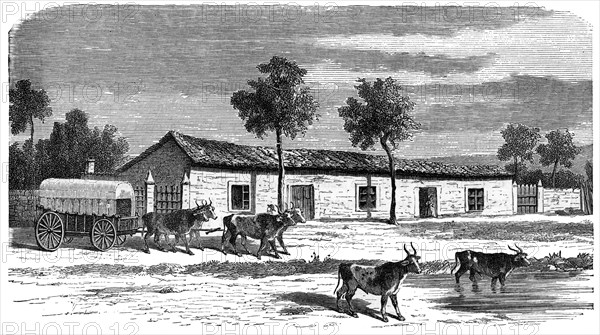 A Boer farm, South Africa, c1890. Artist: Unknown