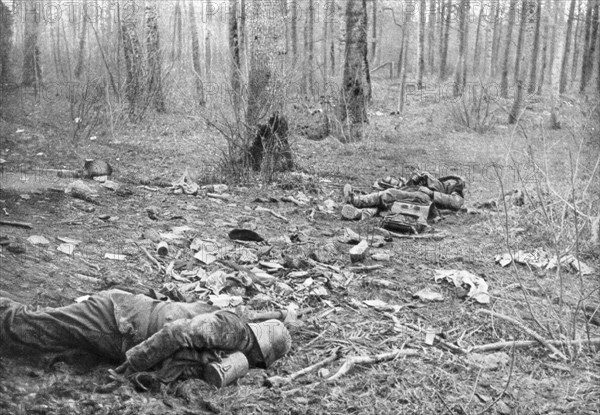 Aftermath of the fighting in the park of Plessis-de-Roye, Picardy, France, 30th March 1918. Artist: Unknown