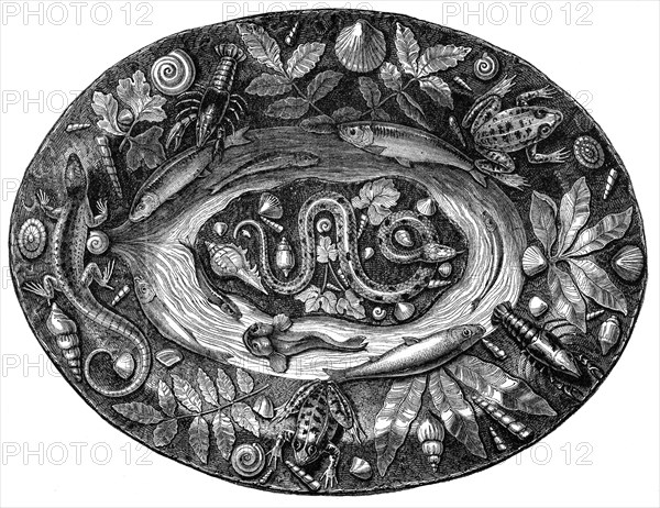 Enamelled dish by Bernard Palissy, 16th century, (1870). Artist: Unknown