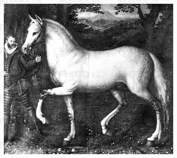 Queen Elizabeth I's horse, (1896). Artist: Unknown