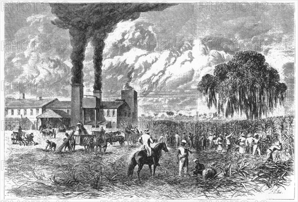 Sugar Plantation, New Orleans, 1870.Artist: A R Ward