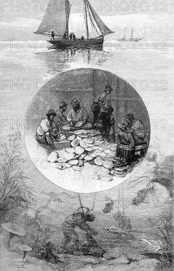 Pearl Fishery, Torres Strait, Australia, 1886. Artist: Unknown