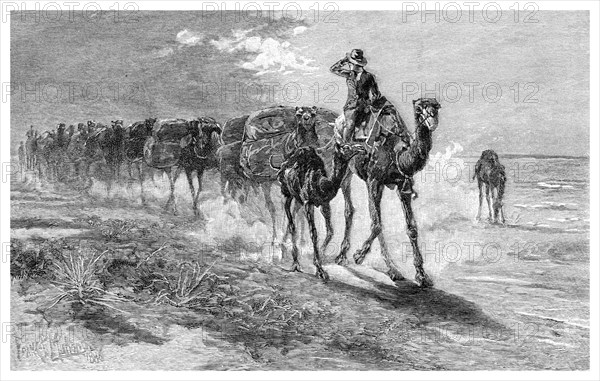 Camels carrying wool, 1886.Artist: Frank P Mahony