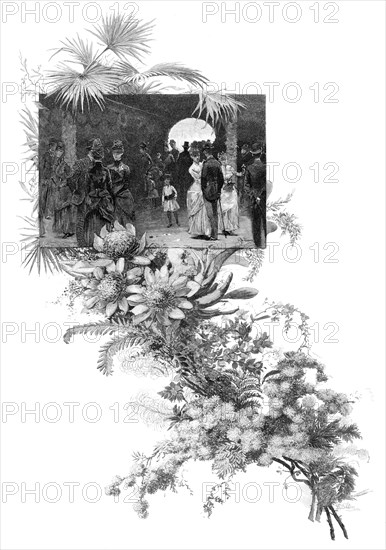 Manly wild flower show, Sydney, New South Wales, Australia, 1886. Artist: Unknown