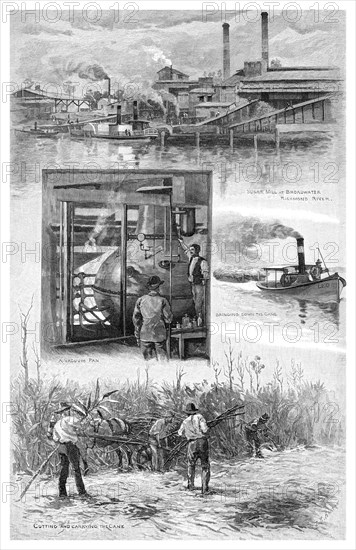 The sugar industry, Richmond River, New South Wales, Australia, 1886.Artist: JR Ashton