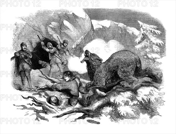 Jack Curling's narrow escape from a ferocious bear, 1855. Artist: Unknown